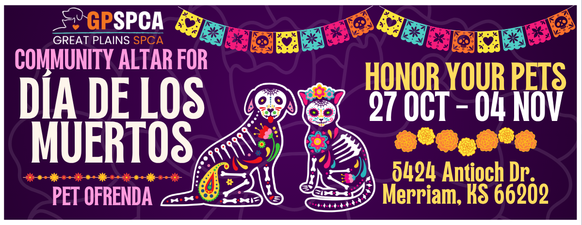 Dia de los Muertos Celebration